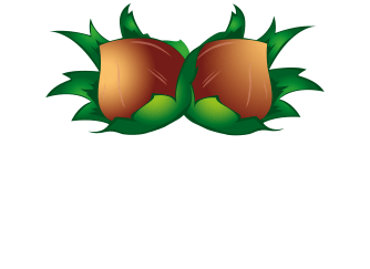Asma Fındık Logo