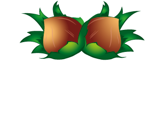 Asma Fındık Logo
